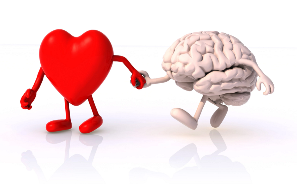 heart-and-brain-on-scale
